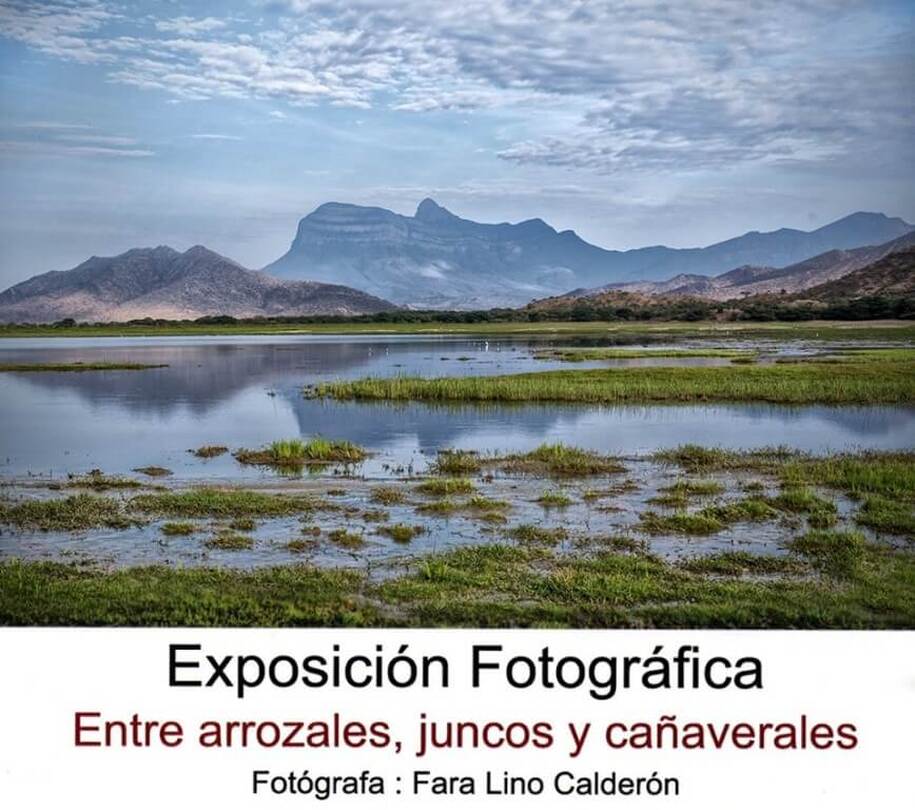 MUESTRA FOTOGRÁFICA “ENTRE ARROZALES, JUNCOS Y CAÑAVERALES” DE FARA LINO VÍA AGENDA CIX